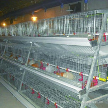 Cages pour animaux de compagnie de 2,3 * 4,4 m